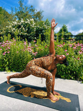 Load image into Gallery viewer, BIG KAT